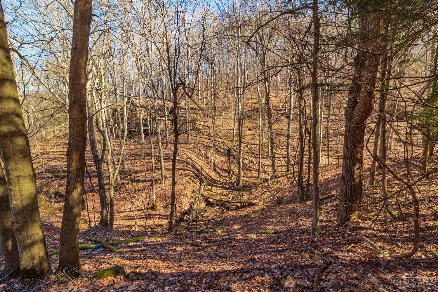 2030 Slate Fork Road, Jefferson Twp, Ohio image 9