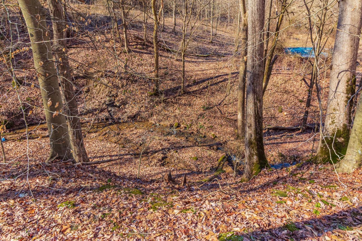 2030 Slate Fork Road, Jefferson Twp, Ohio image 19