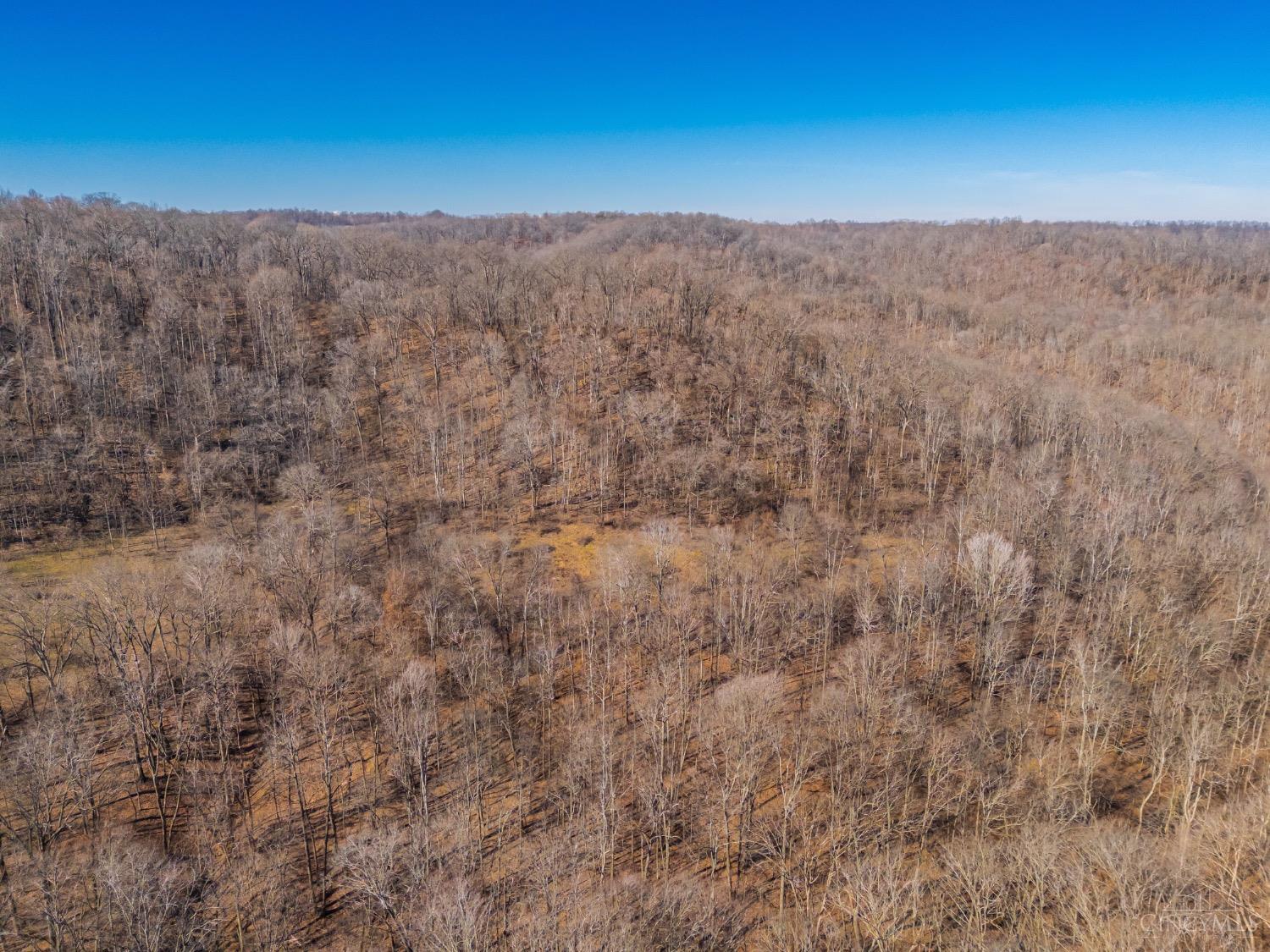 2030 Slate Fork Road, Jefferson Twp, Ohio image 6