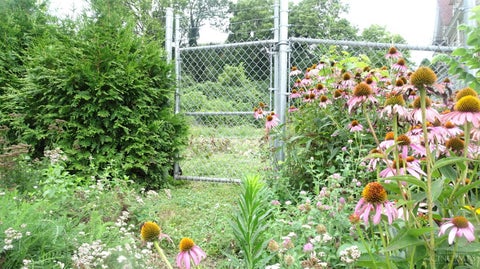Vacant Land For Sale - 3587 Alaska Avenue<br/> Cincinnati, OH 45229