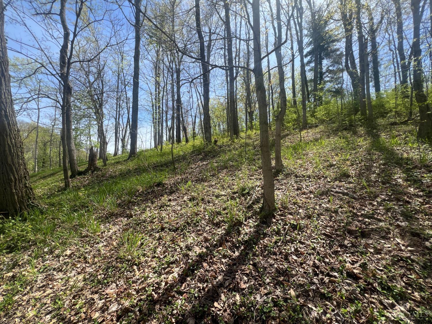 0.87ac E Broadway Street, Loveland, Ohio image 3