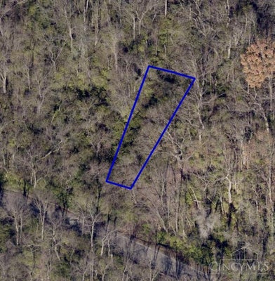 5318 HILLSIDE AVE, CINCINNATI, OH 45233 - Image bf8a30289ec71a3e2c758e5f553ca7fe/3377327970