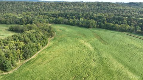 Vacant Land For Sale - Inlow- Tract 2 Avenue<br/> Peebles, OH 45660