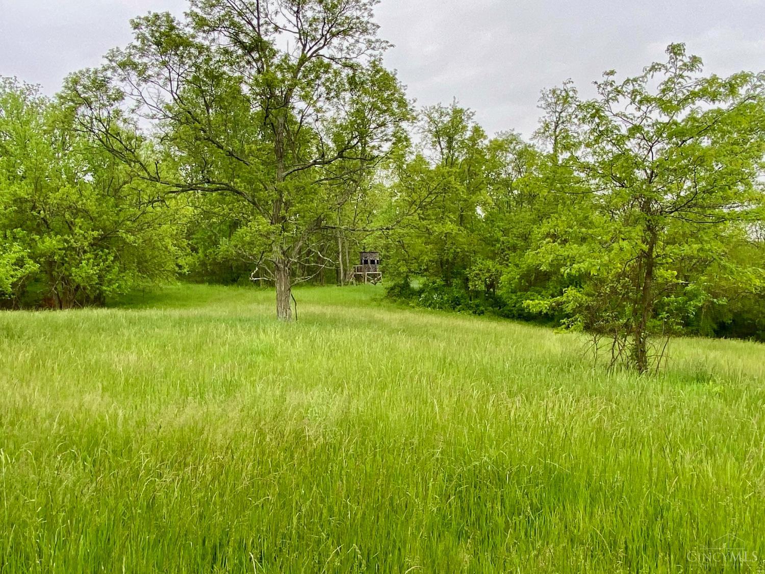 1145 Gray Road, Manchester, Ohio image 6
