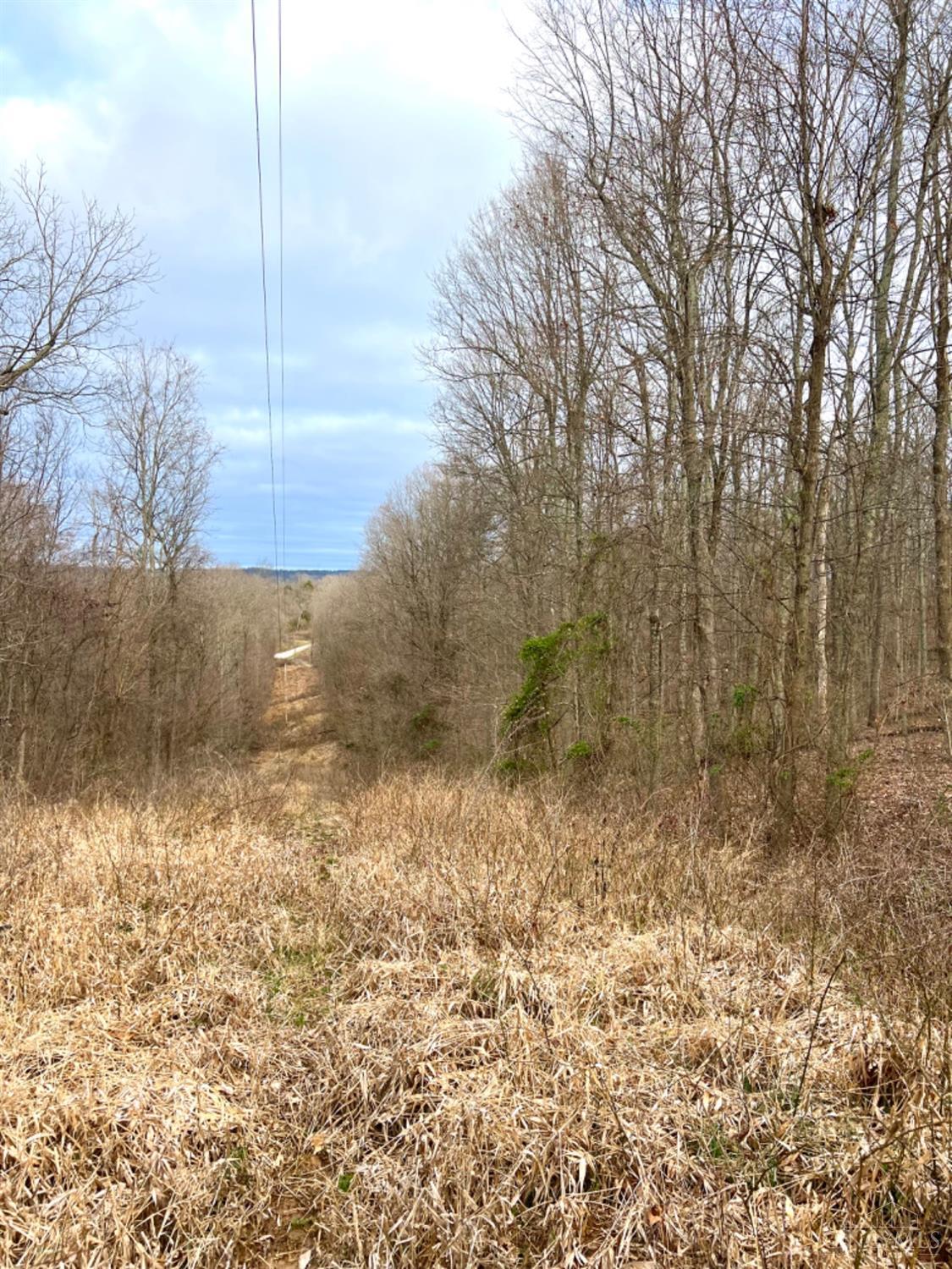 Left Fork Road, Bidwell, Ohio image 3