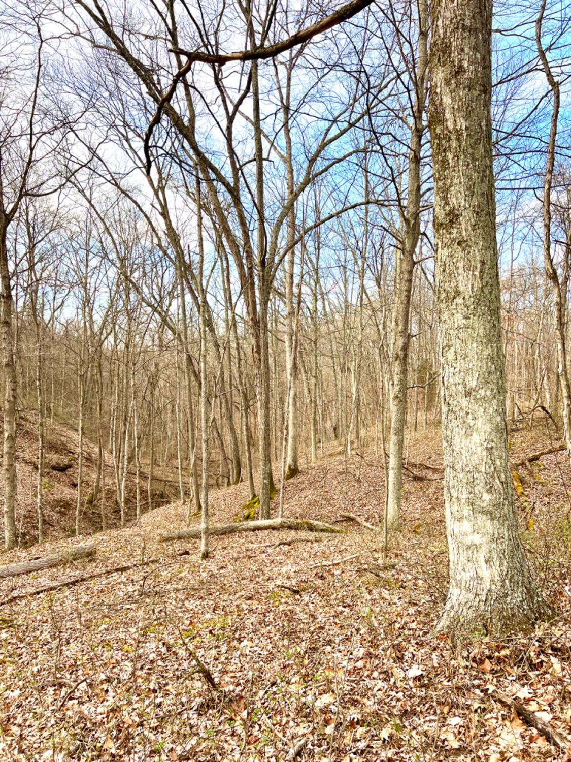 Left Fork Road, Bidwell, Ohio image 7