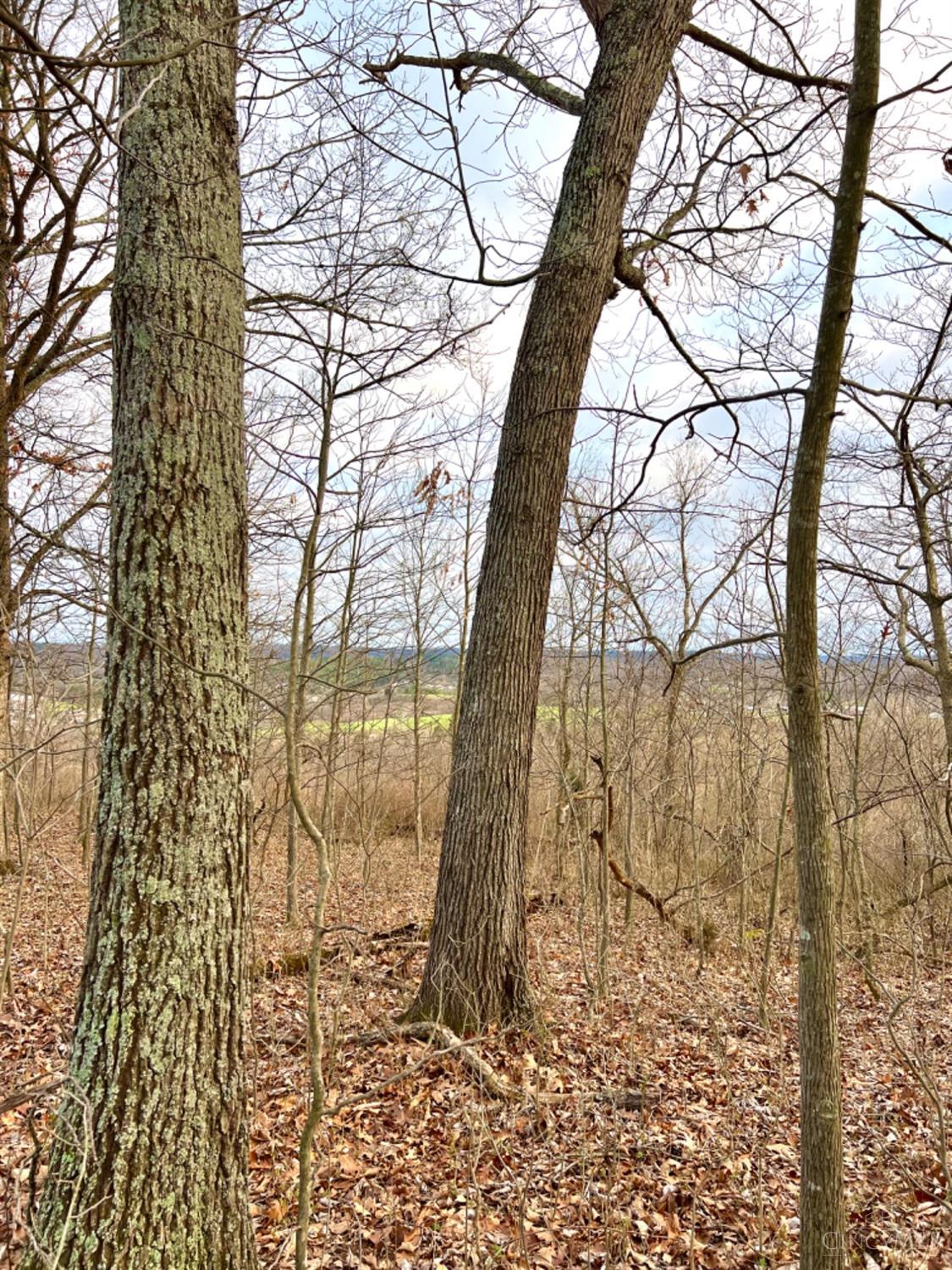 Left Fork Road, Bidwell, Ohio image 50