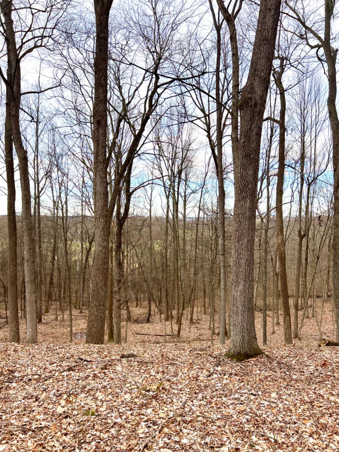 Left Fork Road, Bidwell, Ohio image 33