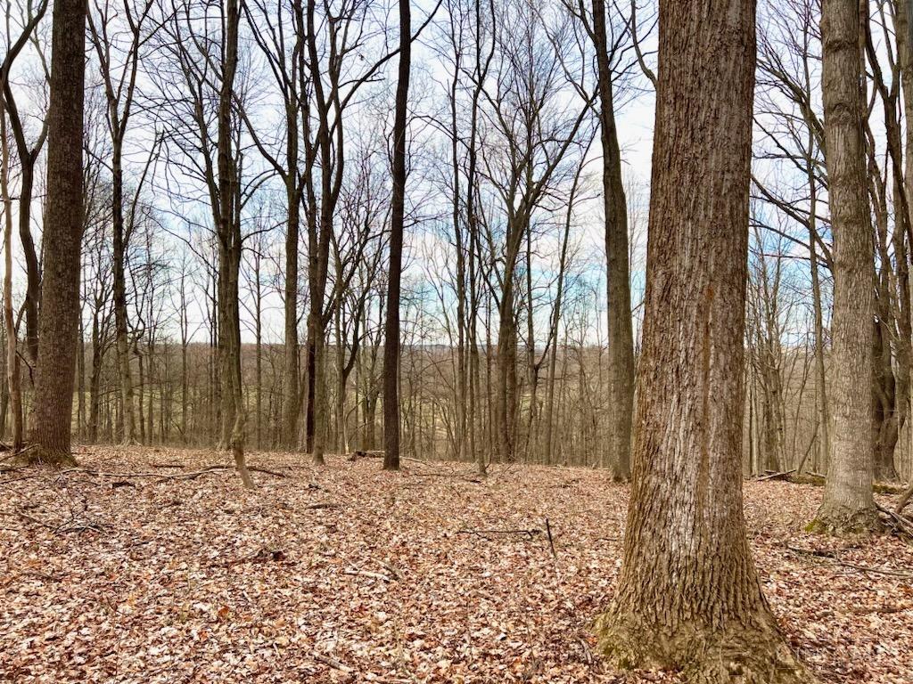 Left Fork Road, Bidwell, Ohio image 1