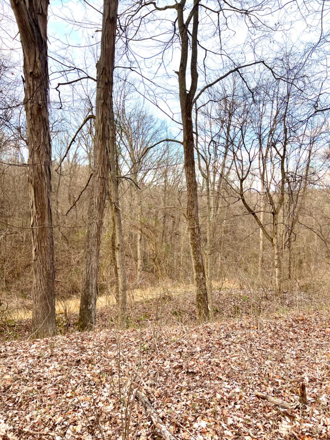 Left Fork Road, Bidwell, Ohio image 48