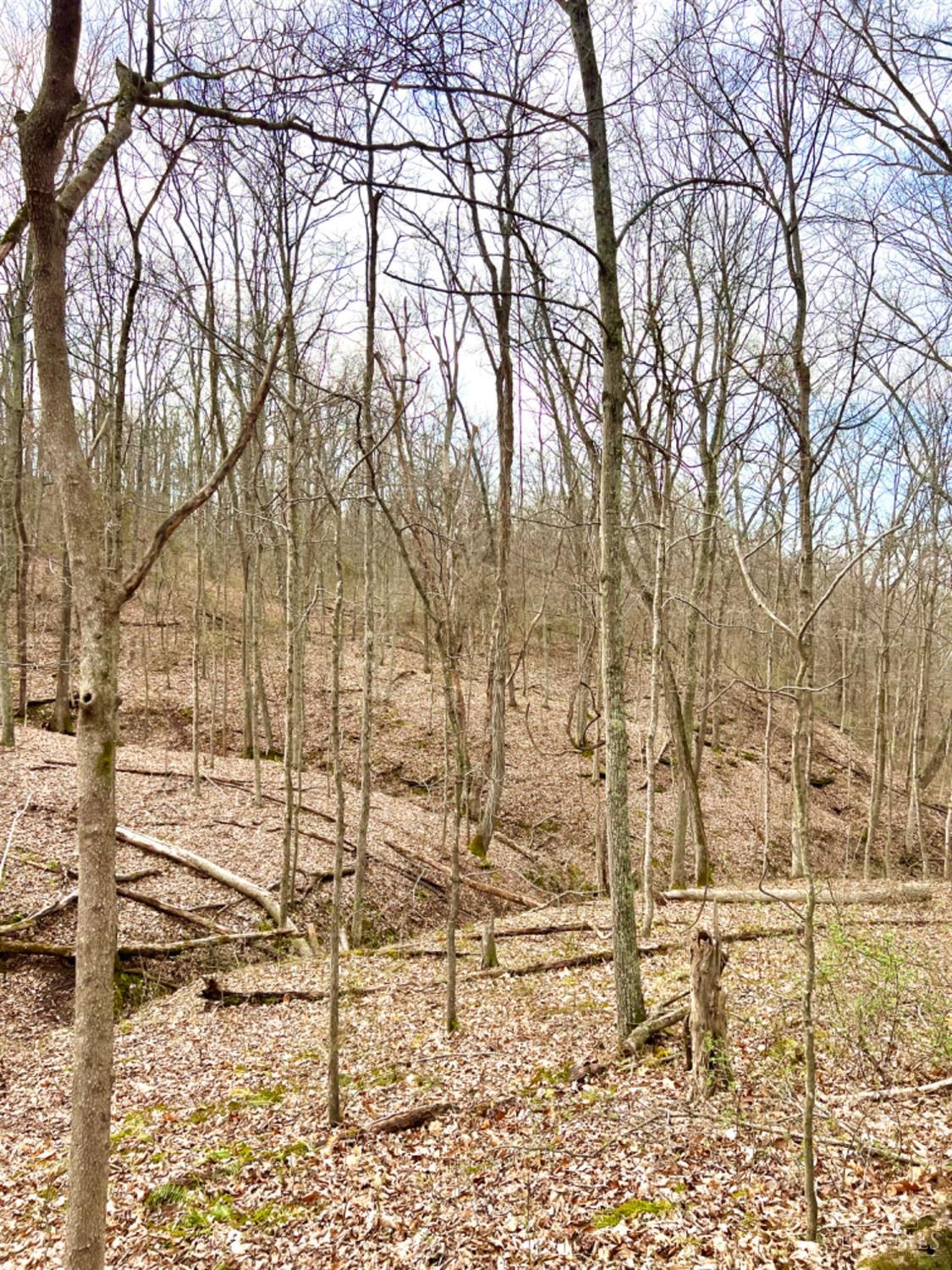 Left Fork Road, Bidwell, Ohio image 6