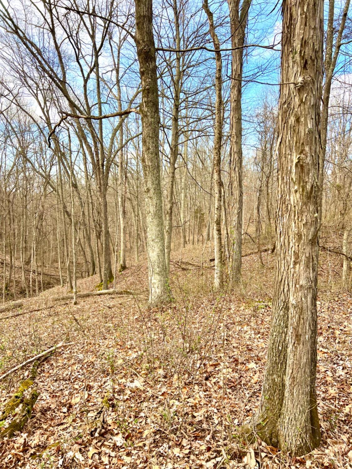 Left Fork Road, Bidwell, Ohio image 5