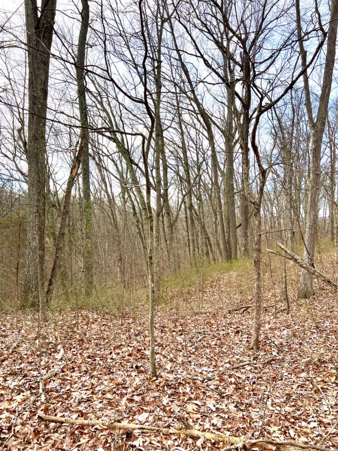 Left Fork Road, Bidwell, Ohio image 13