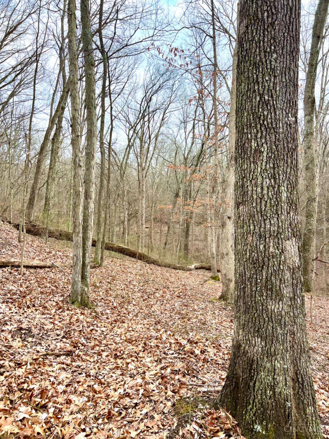 Left Fork Road, Bidwell, Ohio image 27