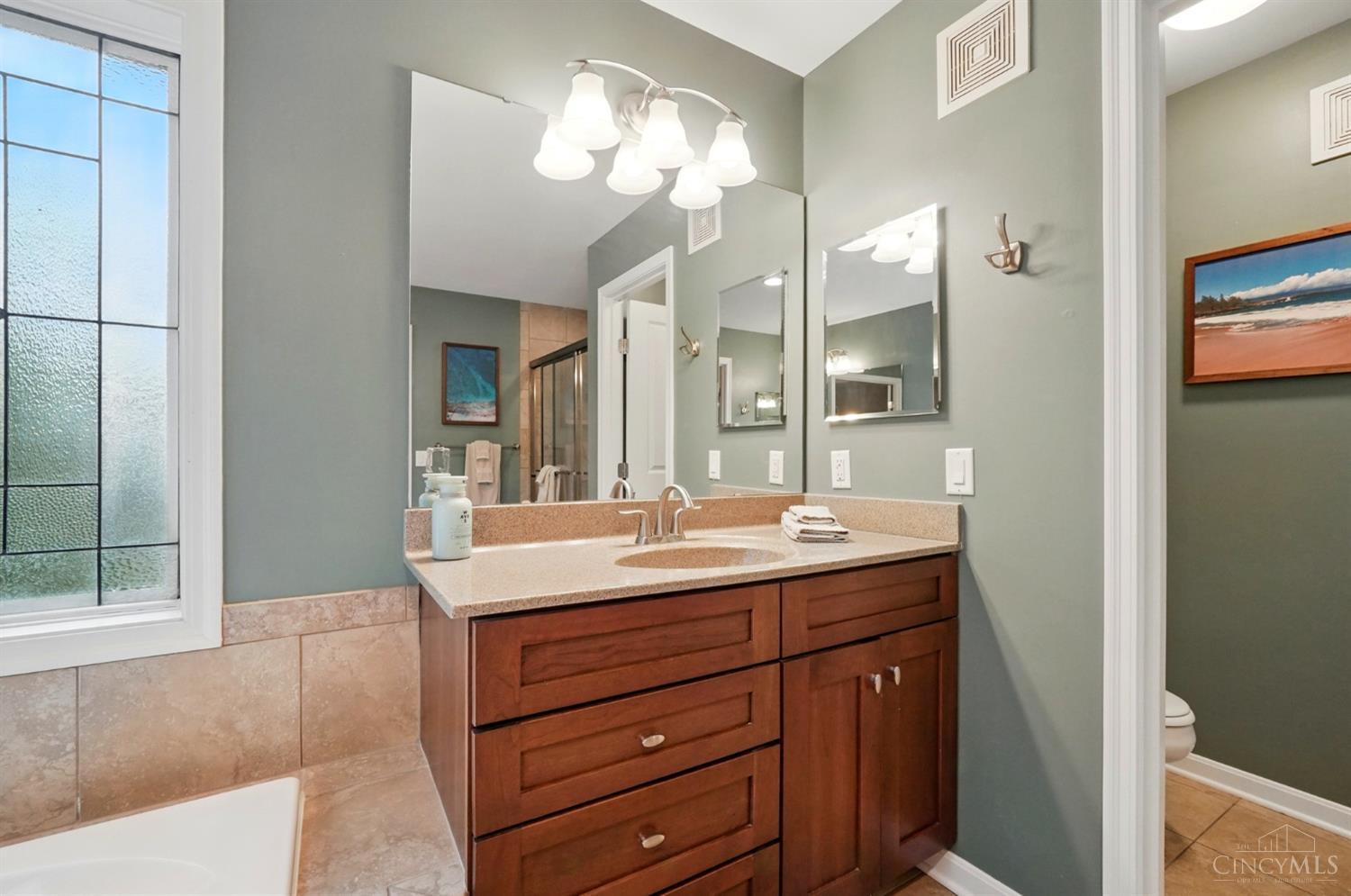 113 Colonial Drive, Loveland, Ohio image 48