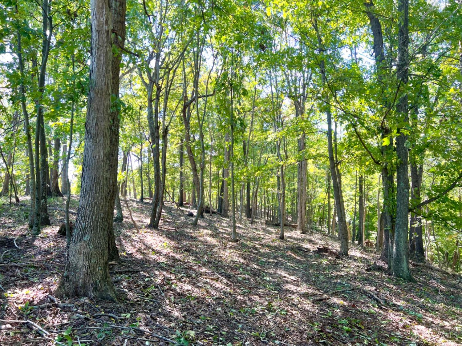 Hinkley Hollow Road, Clayton, Ohio image 7