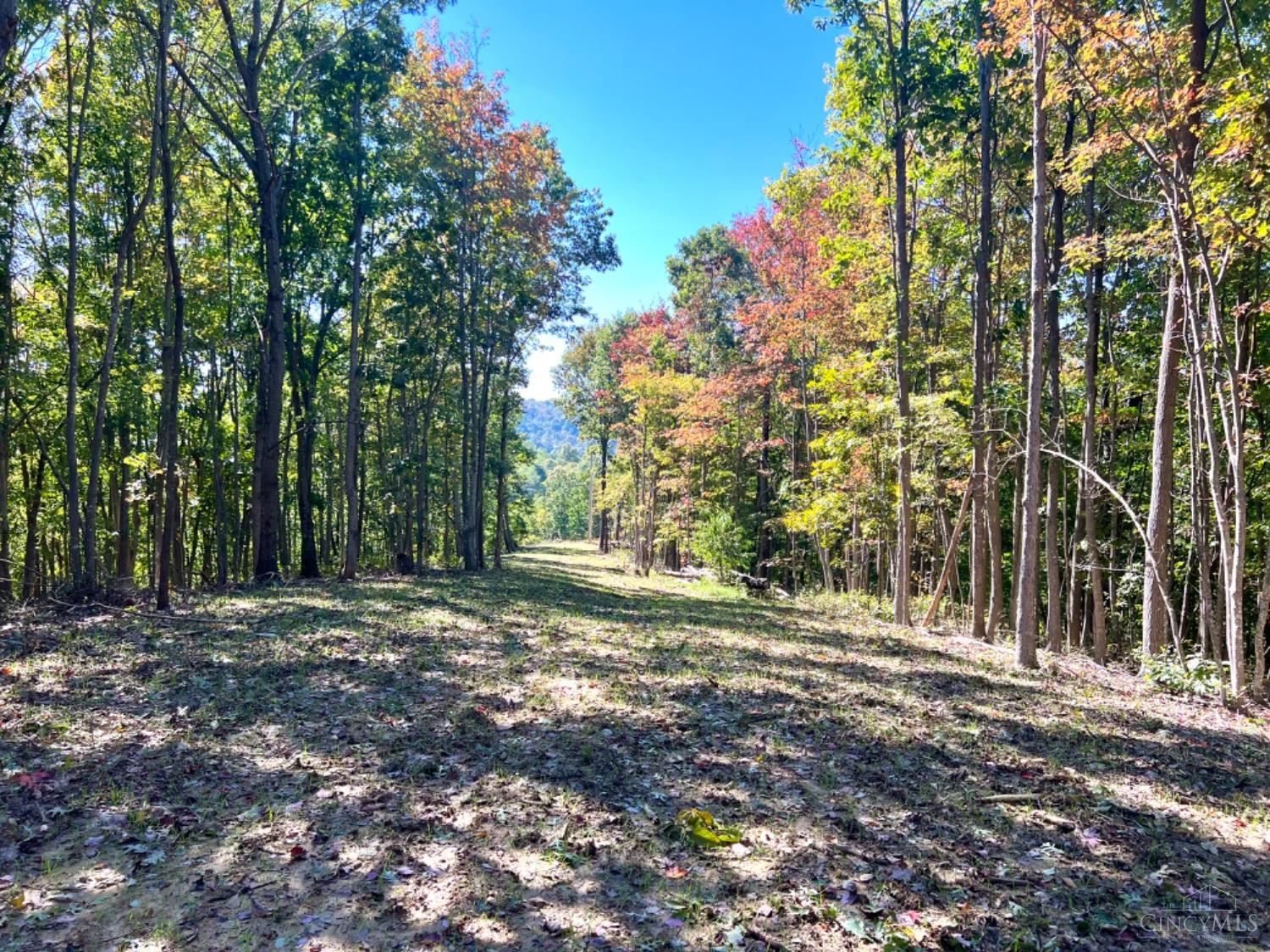 Hinkley Hollow Road, Clayton, Ohio image 50