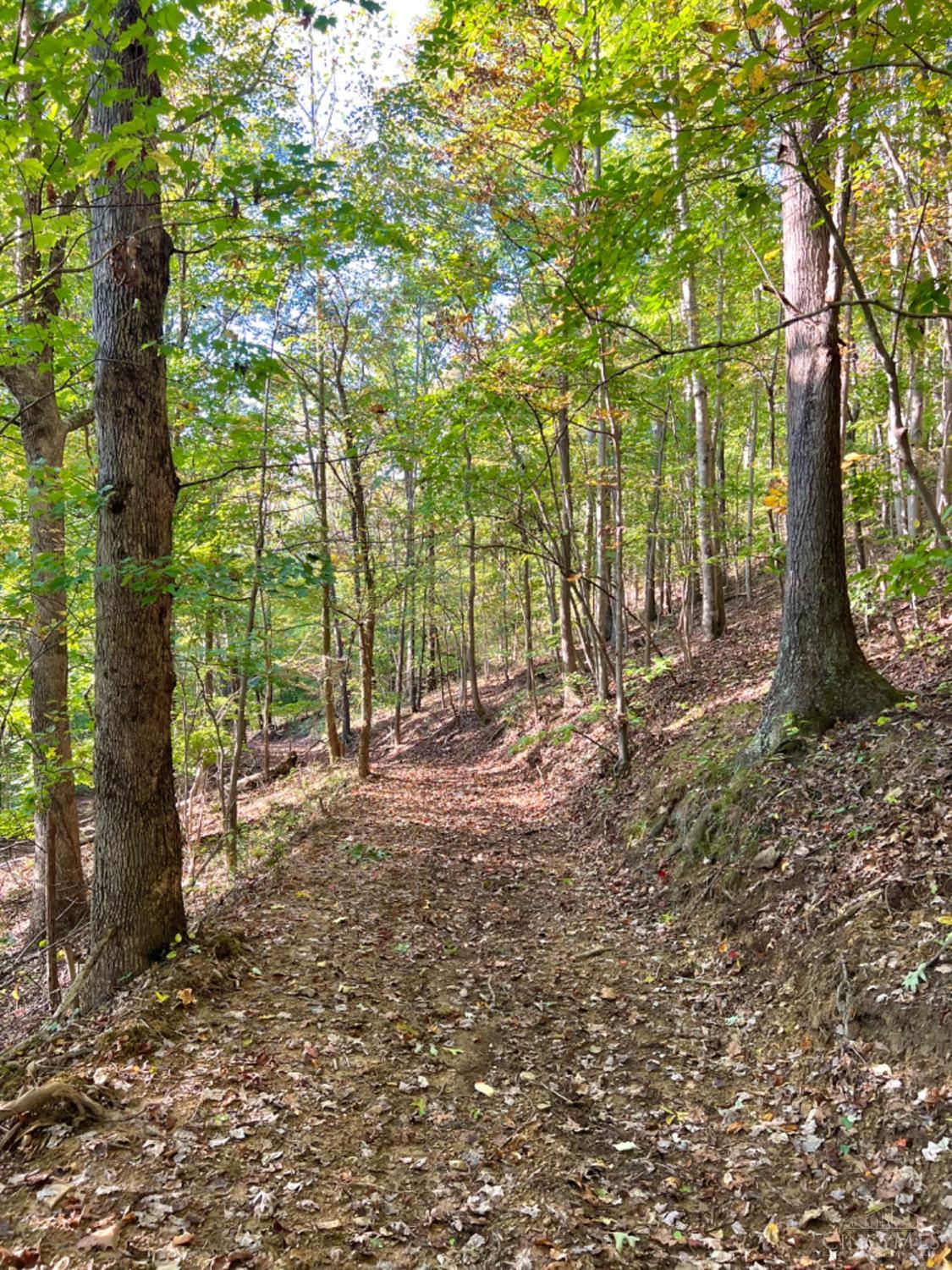 Hinkley Hollow Road, Clayton, Ohio image 5