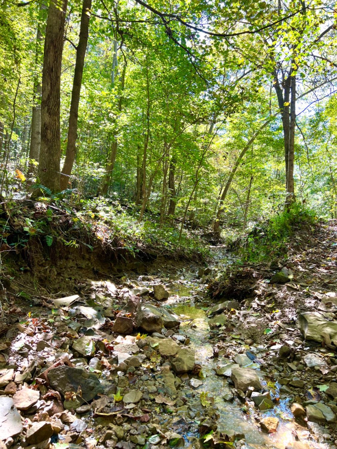 Hinkley Hollow Road, Clayton, Ohio image 12