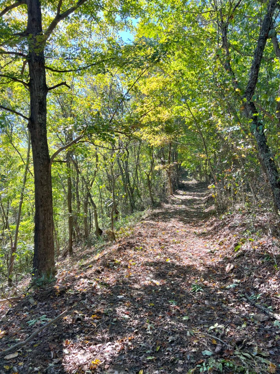 Hinkley Hollow Road, Clayton, Ohio image 34