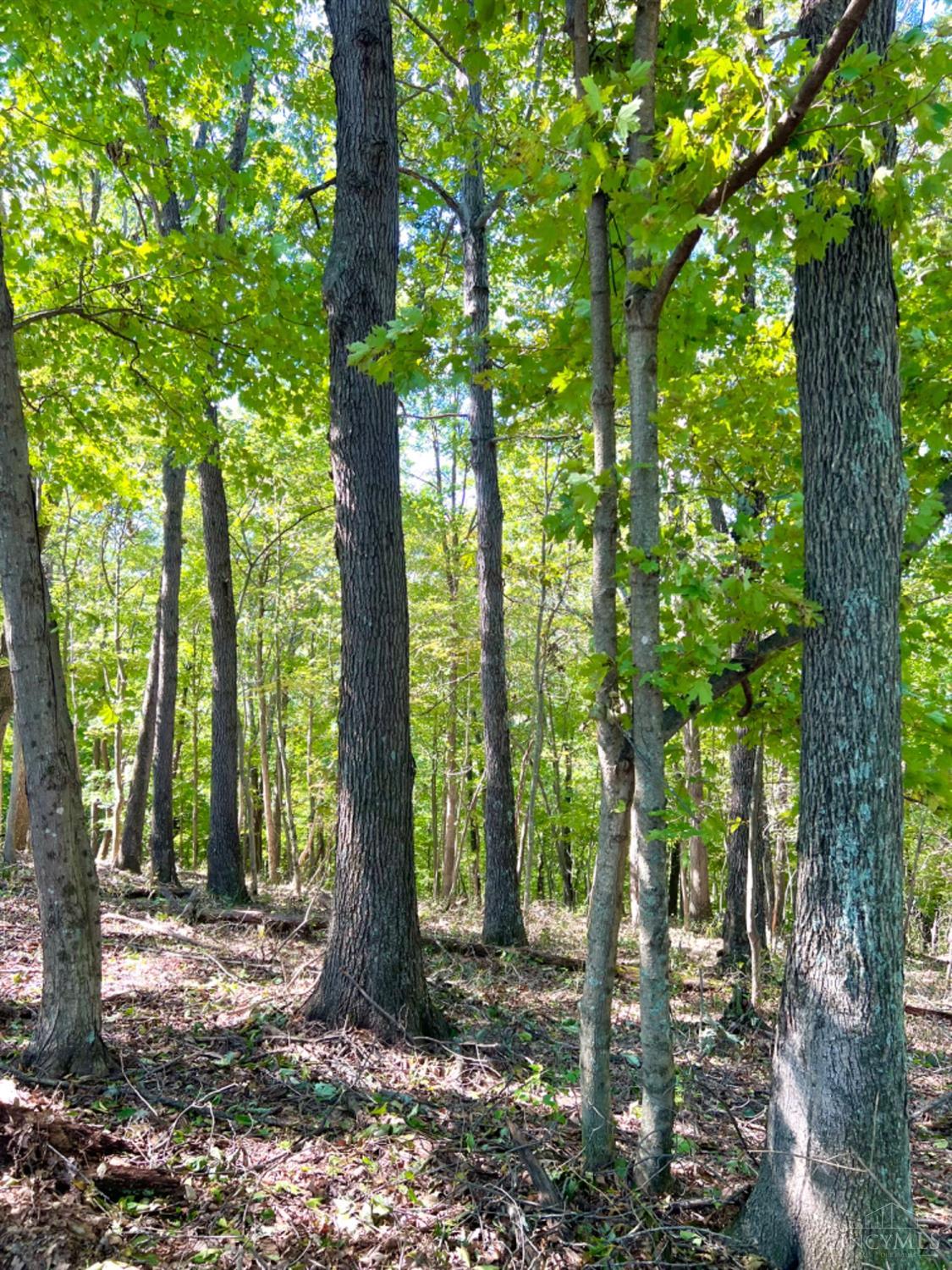 Hinkley Hollow Road, Clayton, Ohio image 37