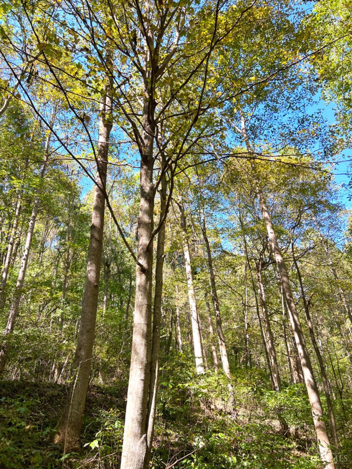 Hinkley Hollow Road, Clayton, Ohio image 33