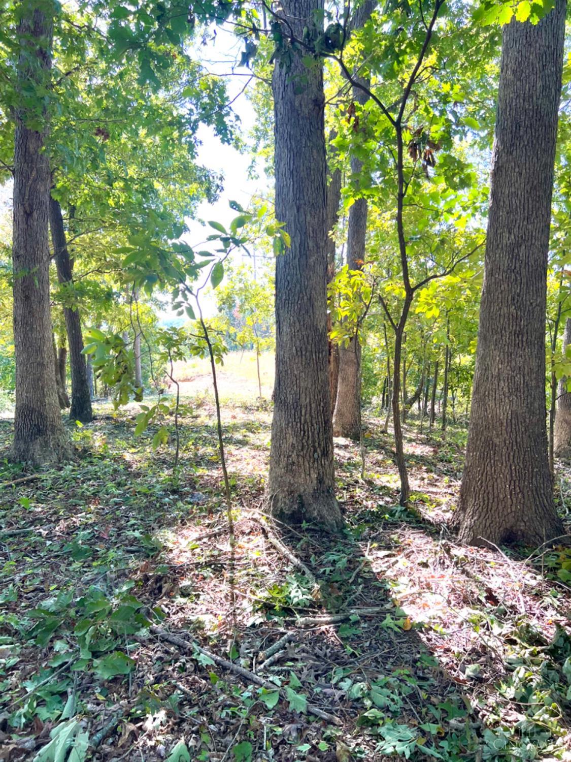 Hinkley Hollow Road, Clayton, Ohio image 47