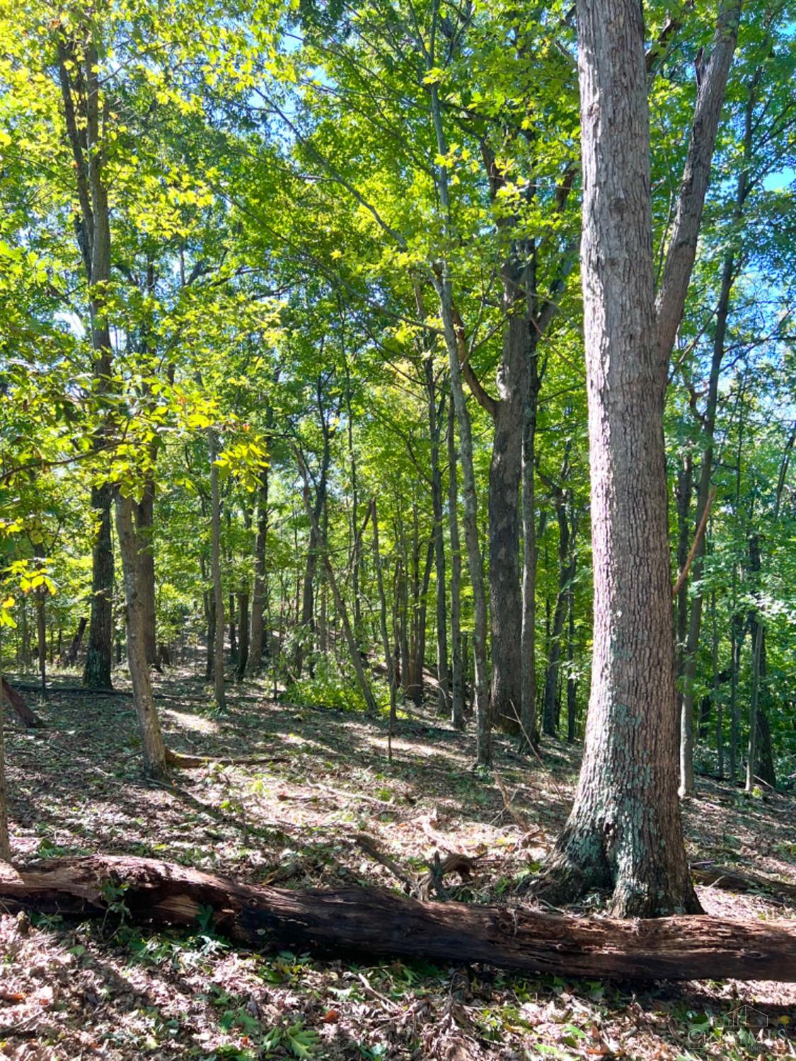 Hinkley Hollow Road, Clayton, Ohio image 13