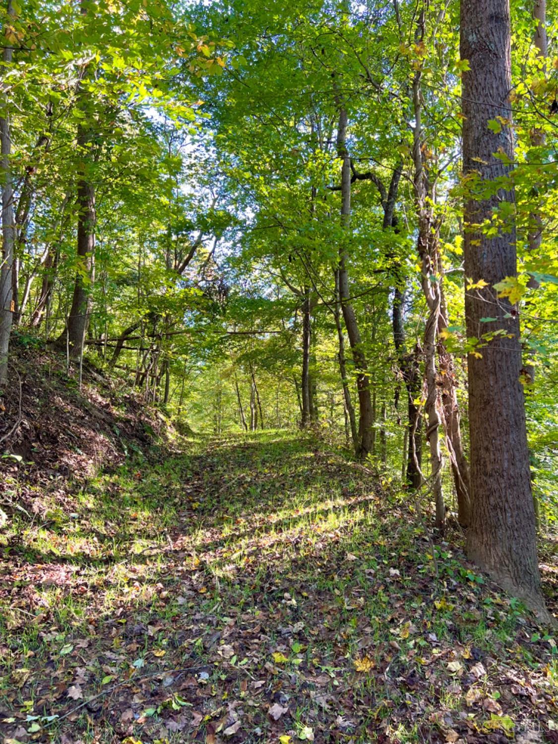 Hinkley Hollow Road, Clayton, Ohio image 11