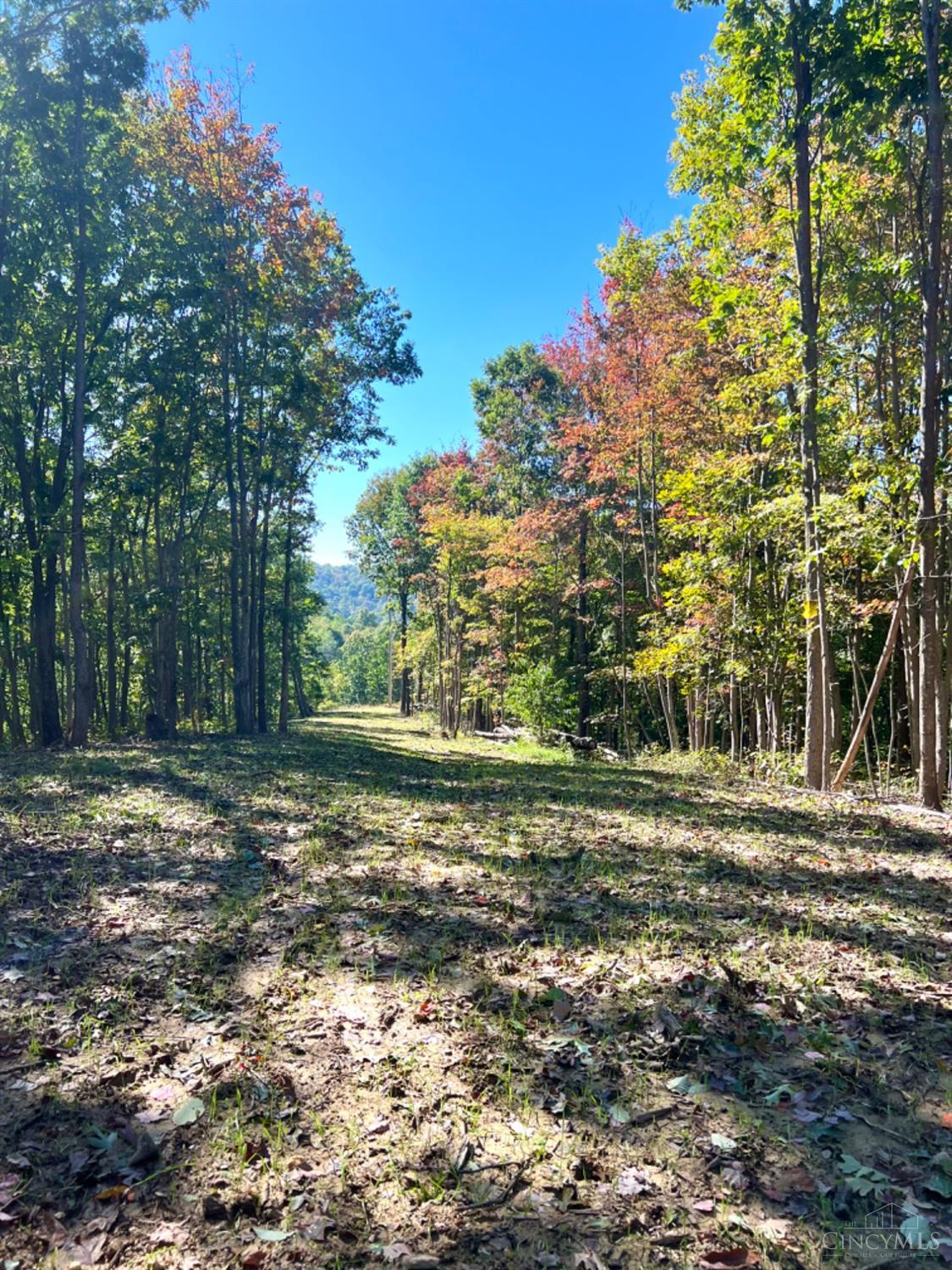 Hinkley Hollow Road, Clayton, Ohio image 4