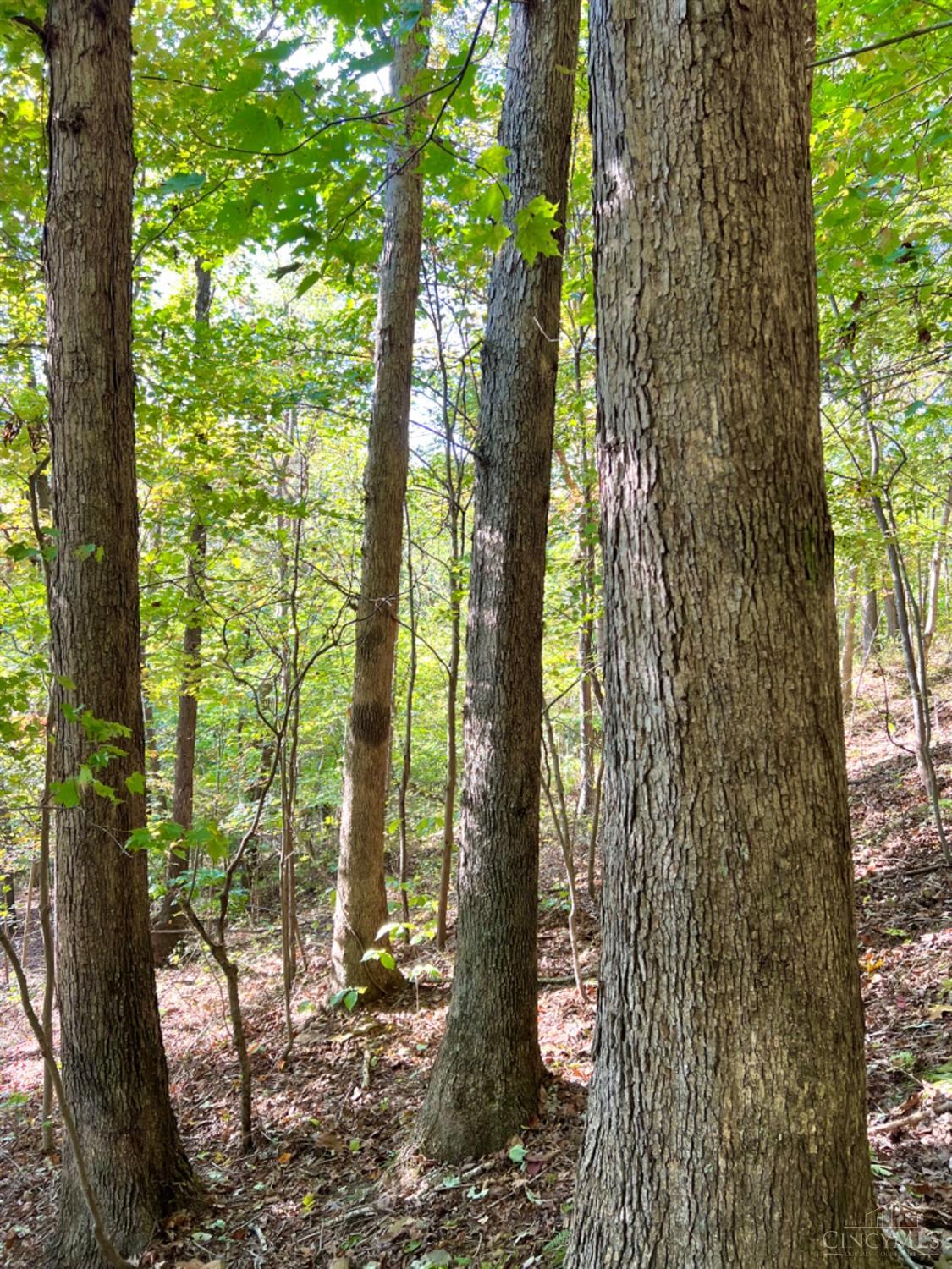 Hinkley Hollow Road, Clayton, Ohio image 8