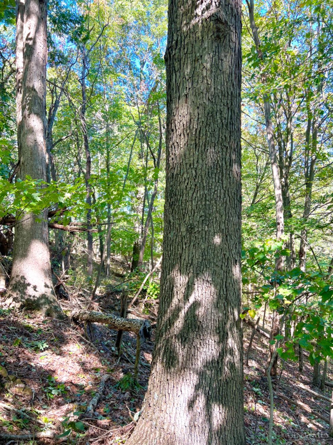 Hinkley Hollow Road, Clayton, Ohio image 45