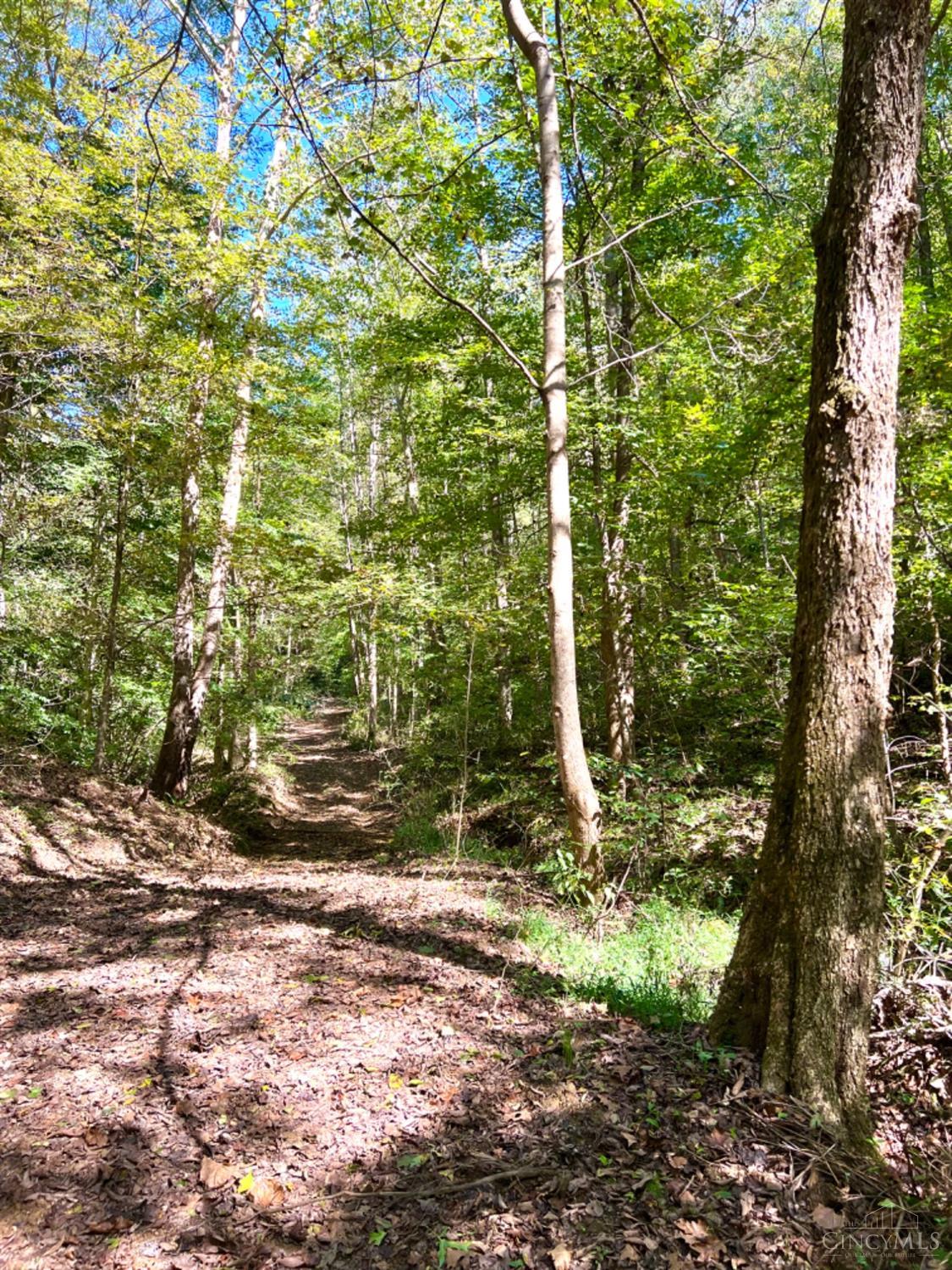 Hinkley Hollow Road, Clayton, Ohio image 29