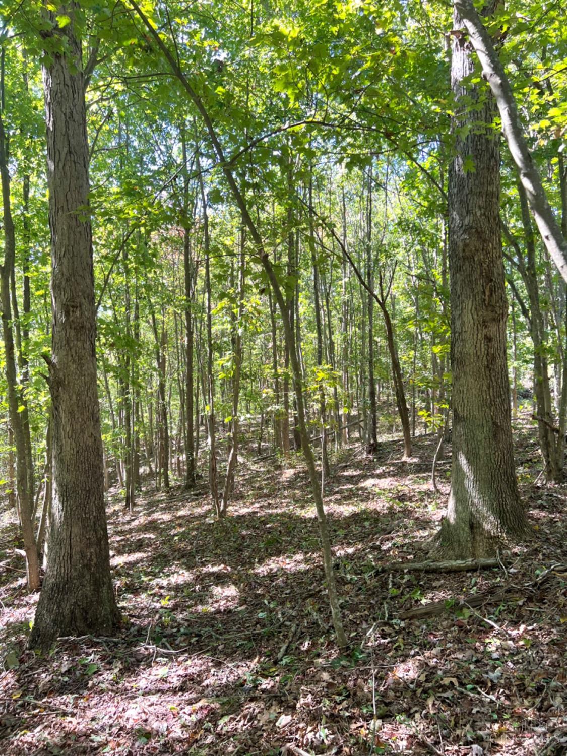 Hinkley Hollow Road, Clayton, Ohio image 49