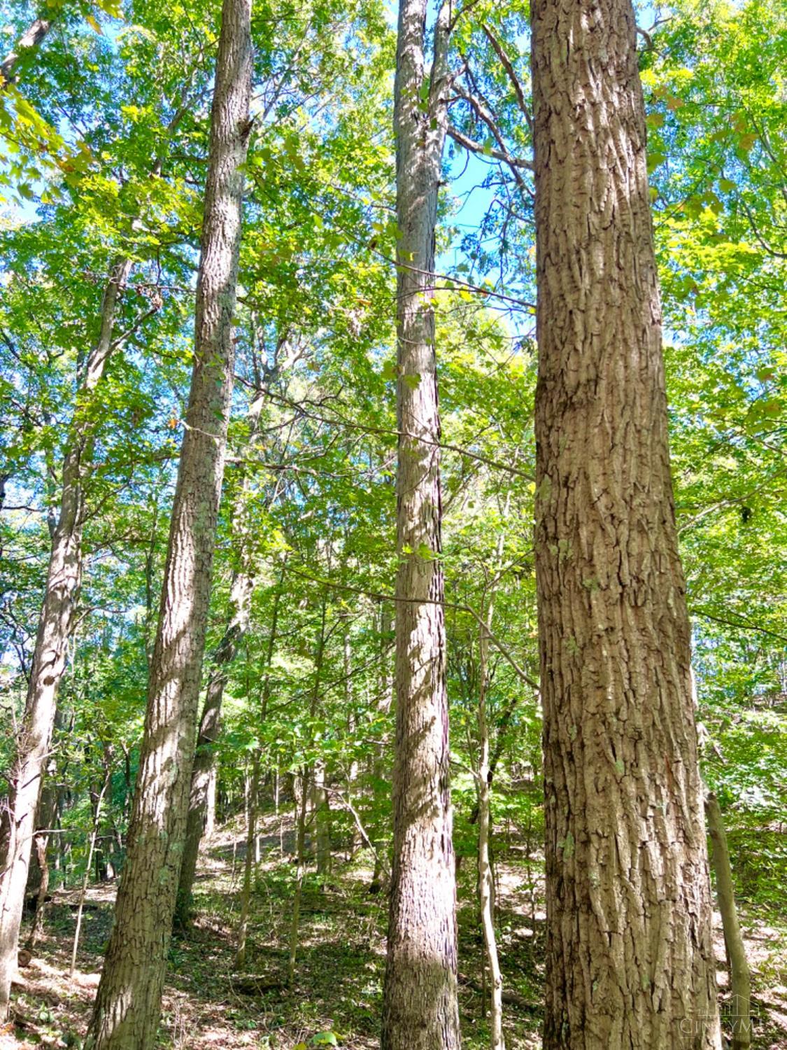 Hinkley Hollow Road, Clayton, Ohio image 43