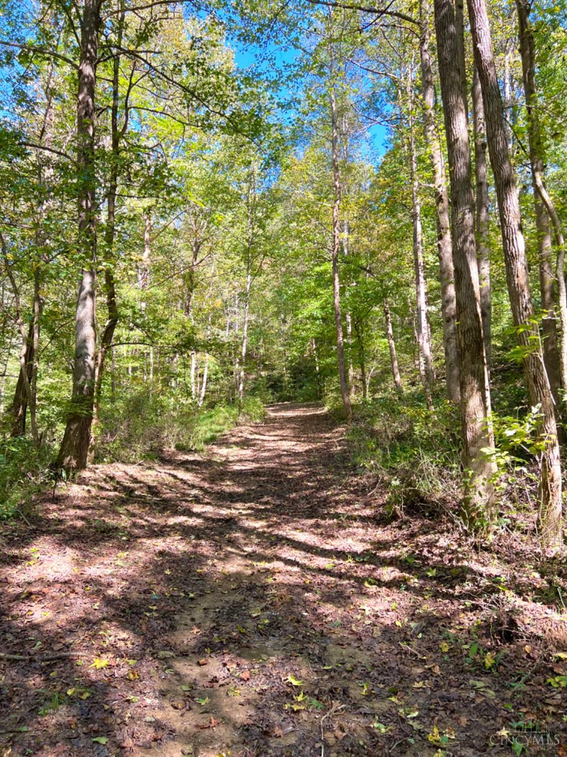 Hinkley Hollow Road, Clayton, Ohio image 30