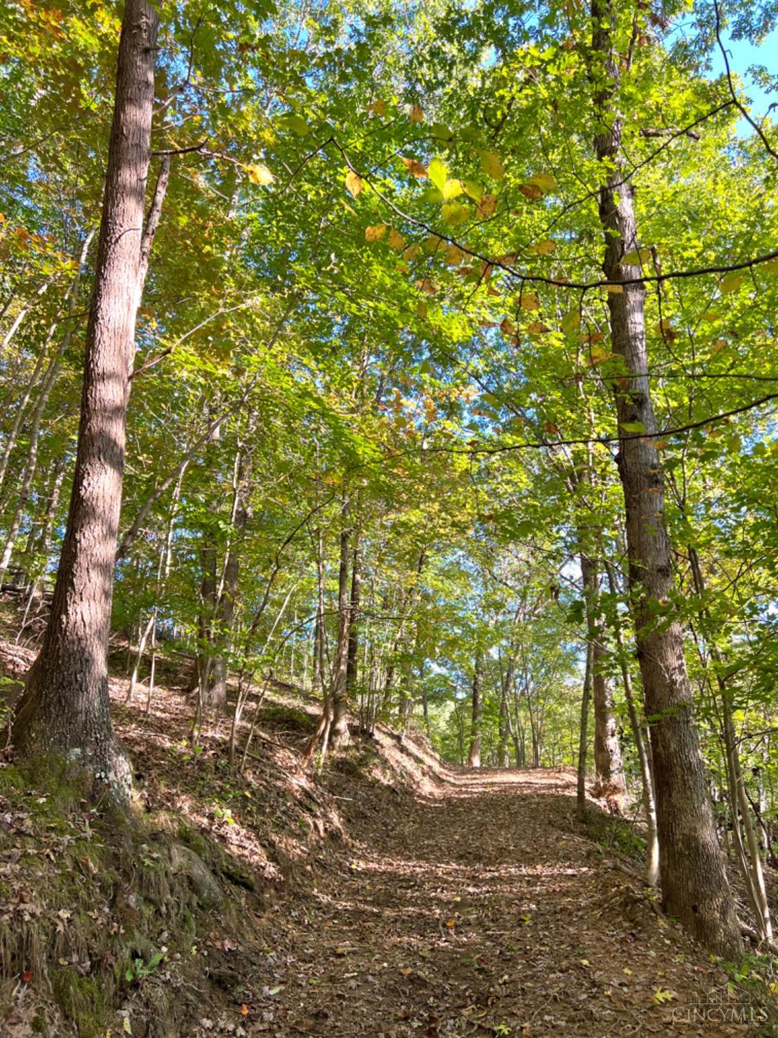 Hinkley Hollow Road, Clayton, Ohio image 22