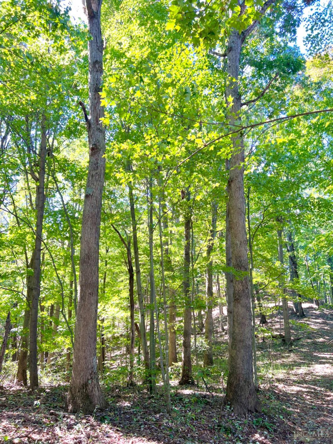 Hinkley Hollow Road, Clayton, Ohio image 40