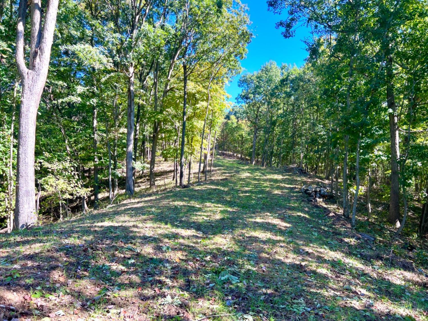 Hinkley Hollow Road, Clayton, Ohio image 48