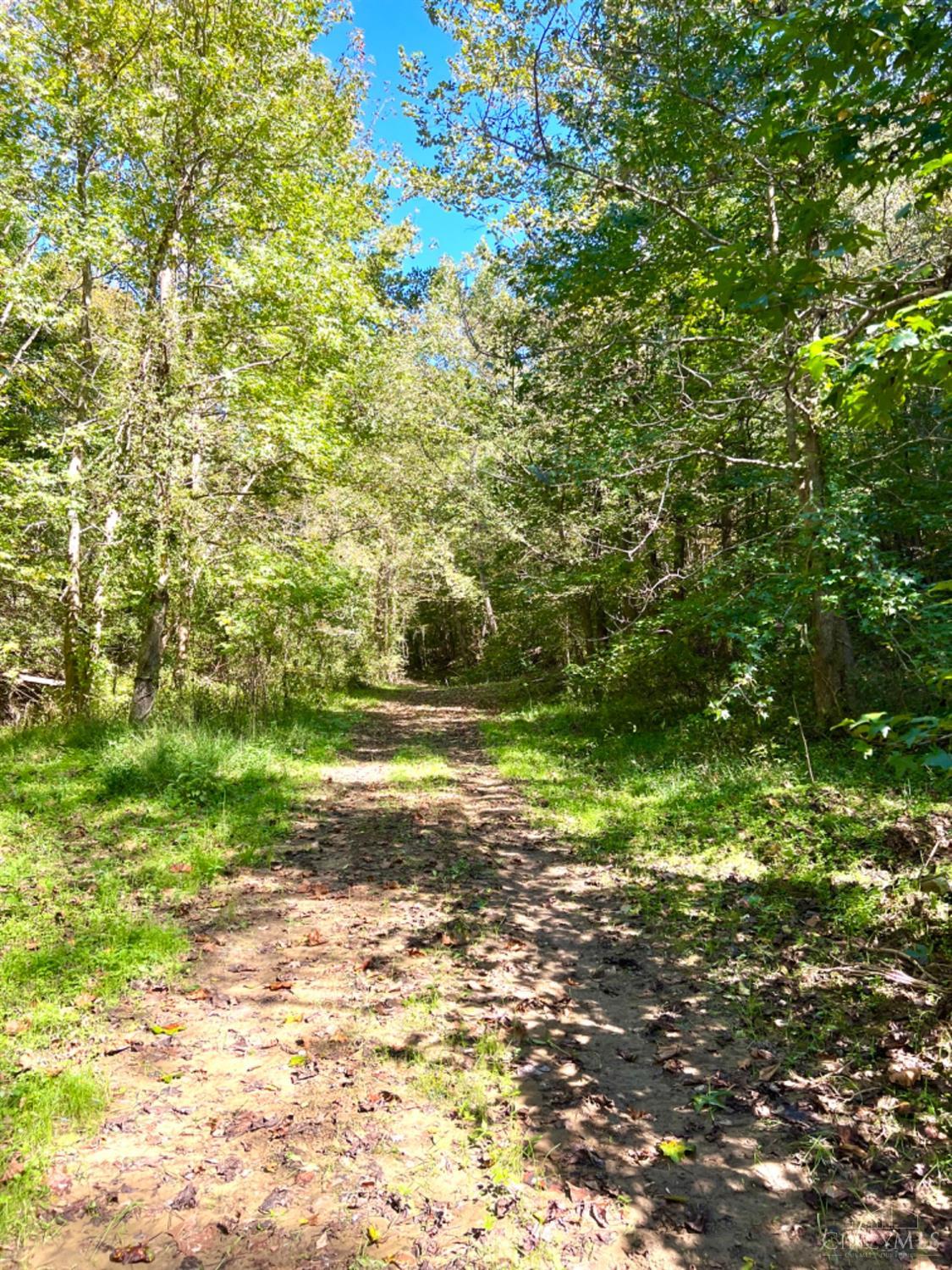 Hinkley Hollow Road, Clayton, Ohio image 28