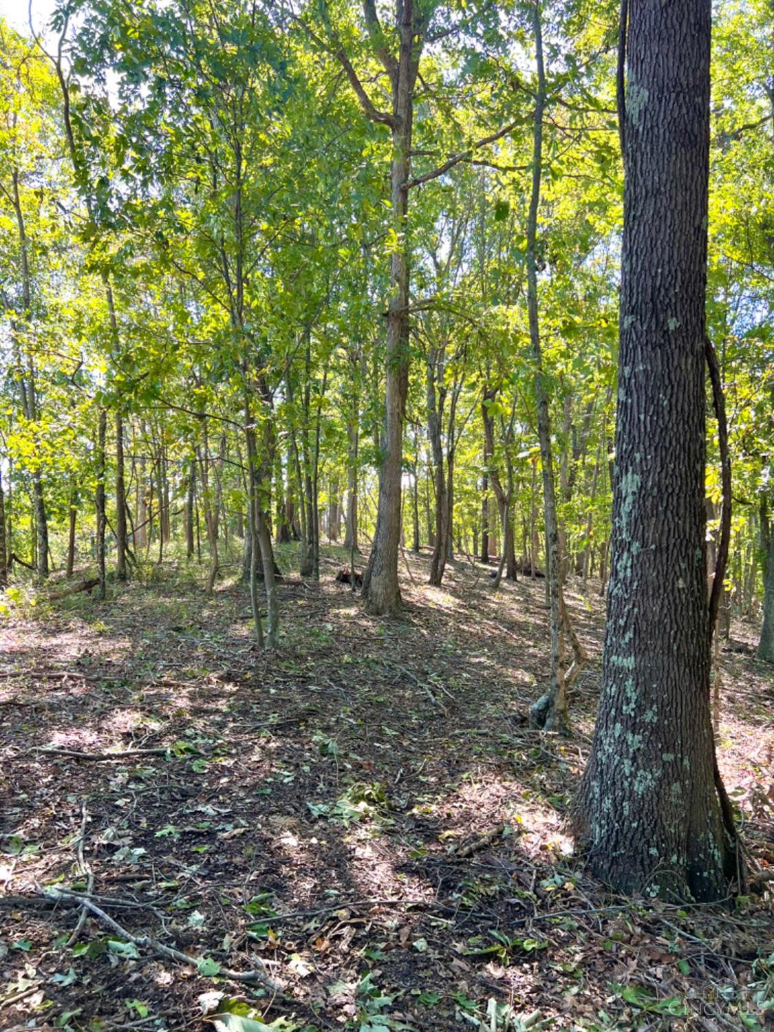 Hinkley Hollow Road, Clayton, Ohio image 36