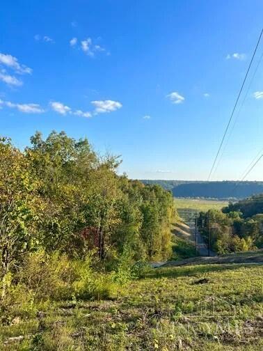 1850 Us Rt 52, Manchester, Ohio image 9