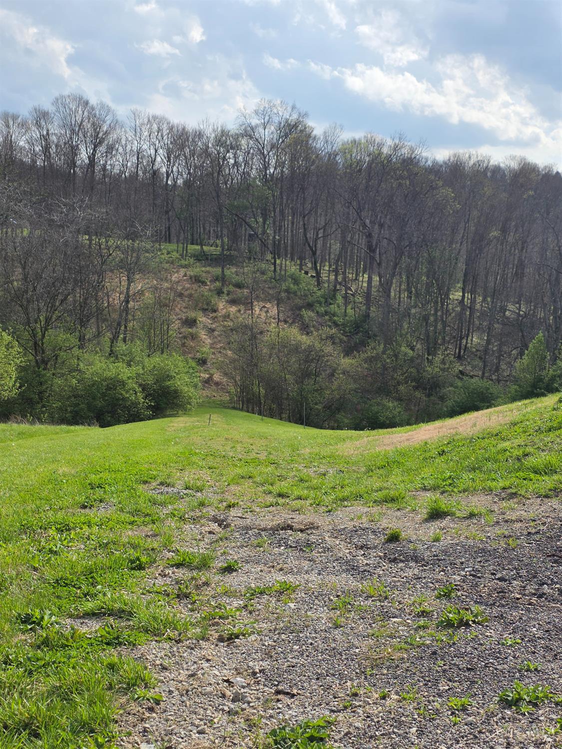 11965 Stone Mill Road