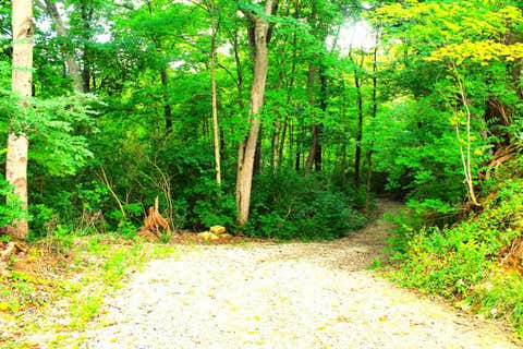 Vacant Land For Sale - 10415 E Miami River Road<br/> Colerain Twp, OH 45252