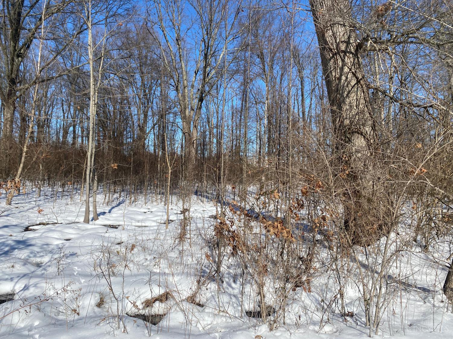 Denny Drive, Pierce Twp, Ohio image 1