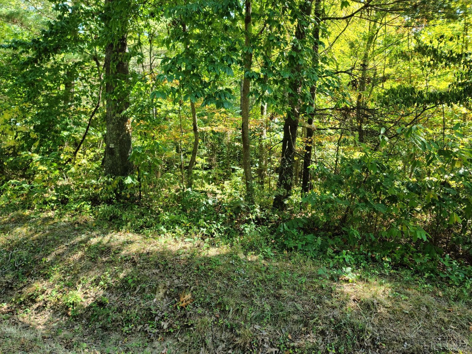 Ohio River Scenic Byway, Racine, Ohio image 4