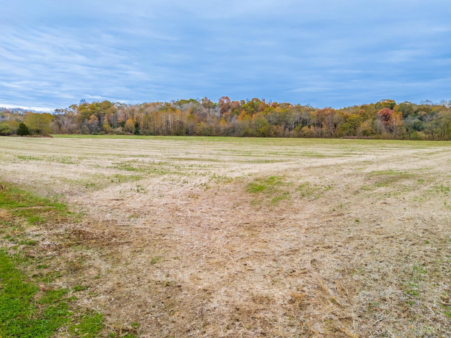 290 Dutch Thomas Road