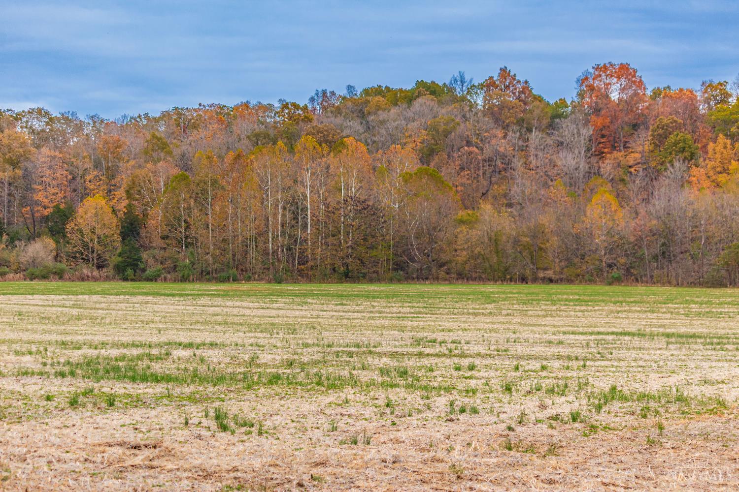 290 Dutch Thomas Road