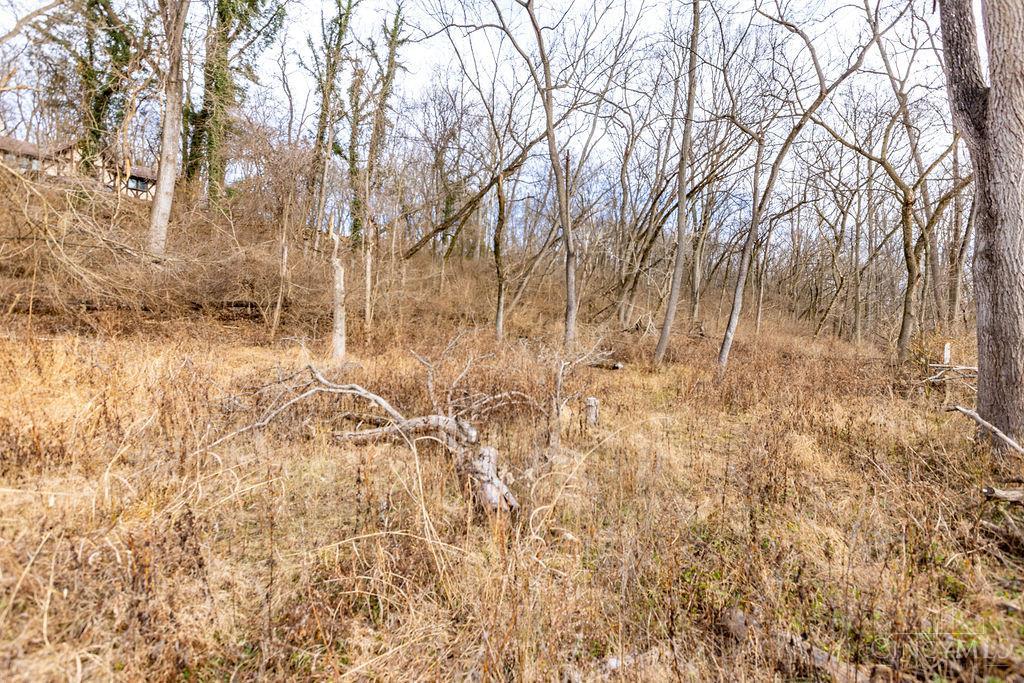 0 Loveland Madeira Road