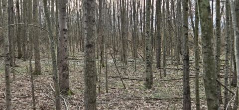 Vacant Land For Sale - 508 Cherry Street<br/> Blanchester, OH 45107